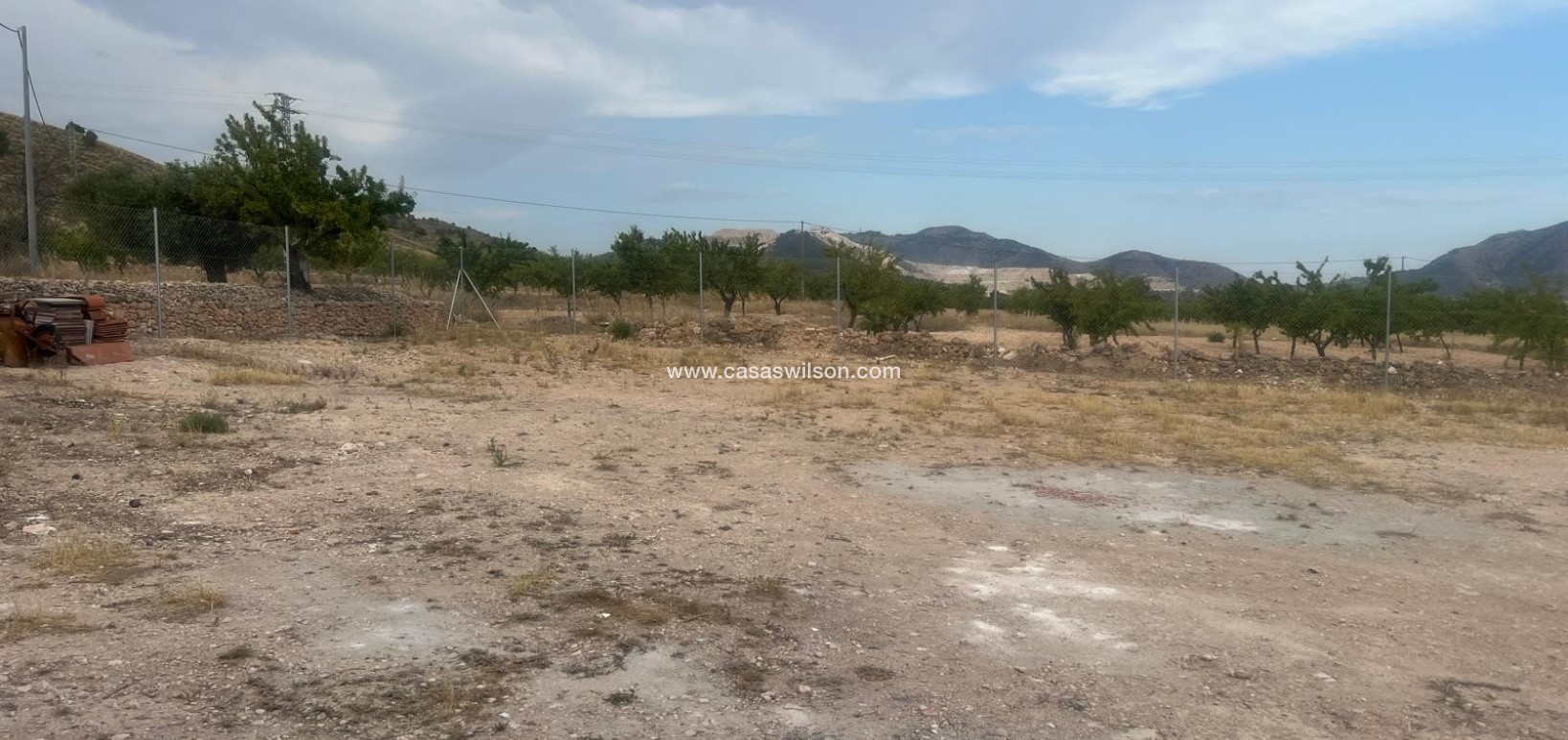 Sale - Villa - La Solana