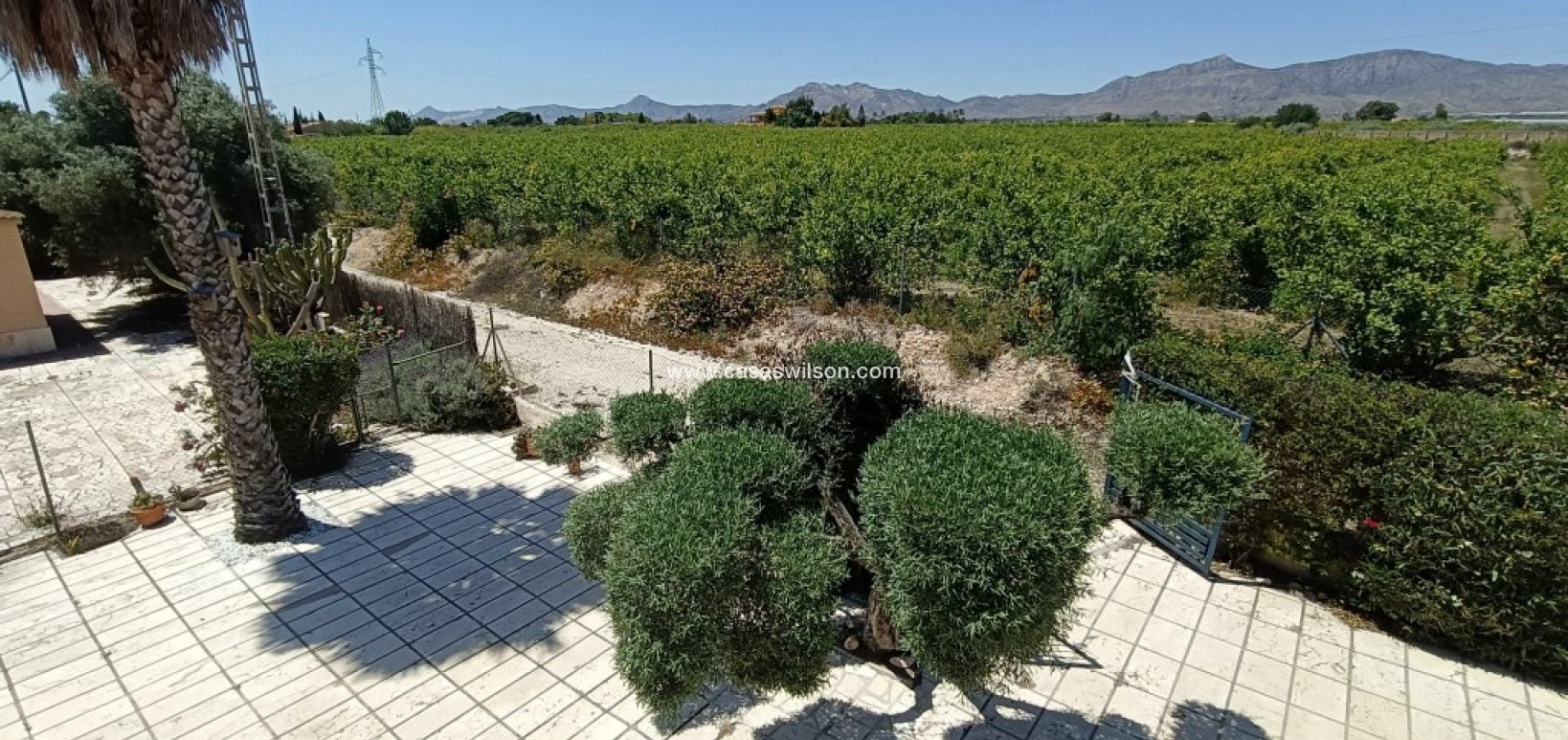 Sale - Country Property - Albatera