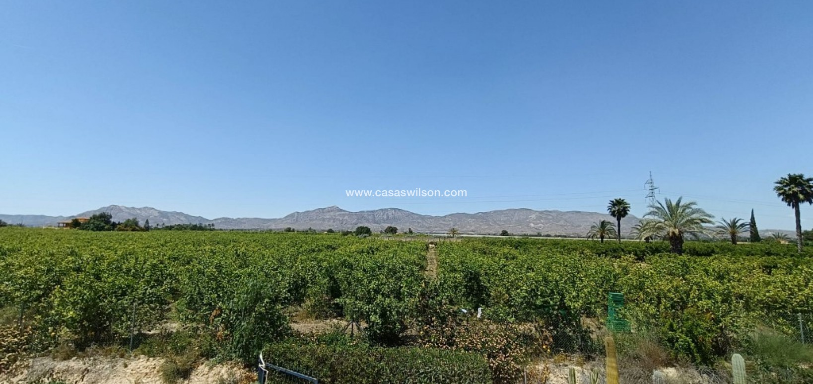 Sale - Country Property - Albatera