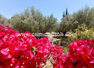 Sale - Country Property - Albatera