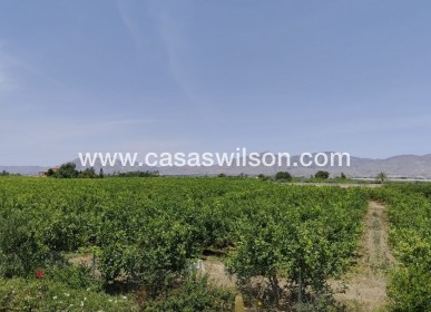 Sale - Country Property - Albatera