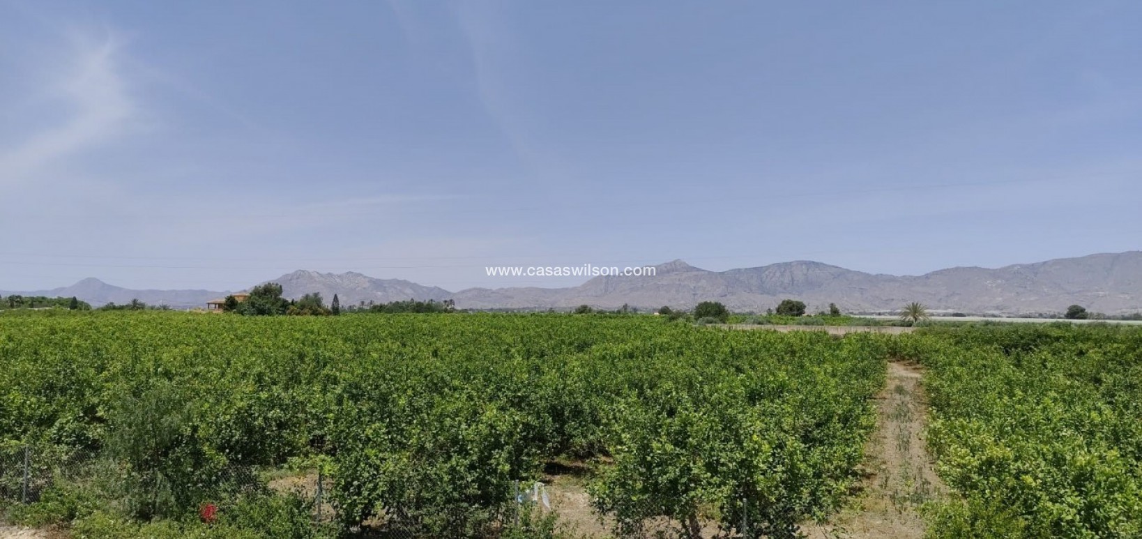 Sale - Country Property - Albatera