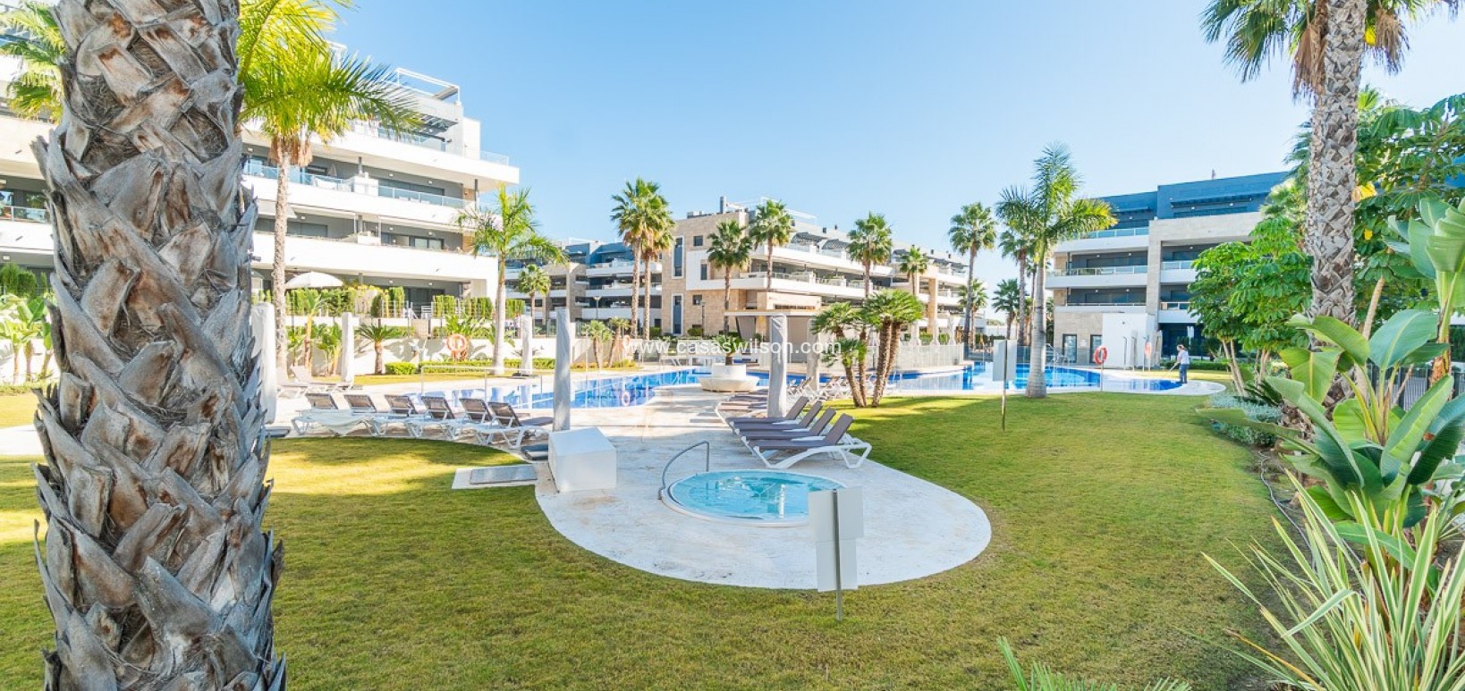 Sale - Apartment - Orihuela Costa - Playa Flamenca