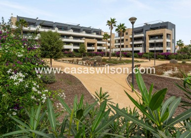 Sale - Apartment - Orihuela Costa - Playa Flamenca