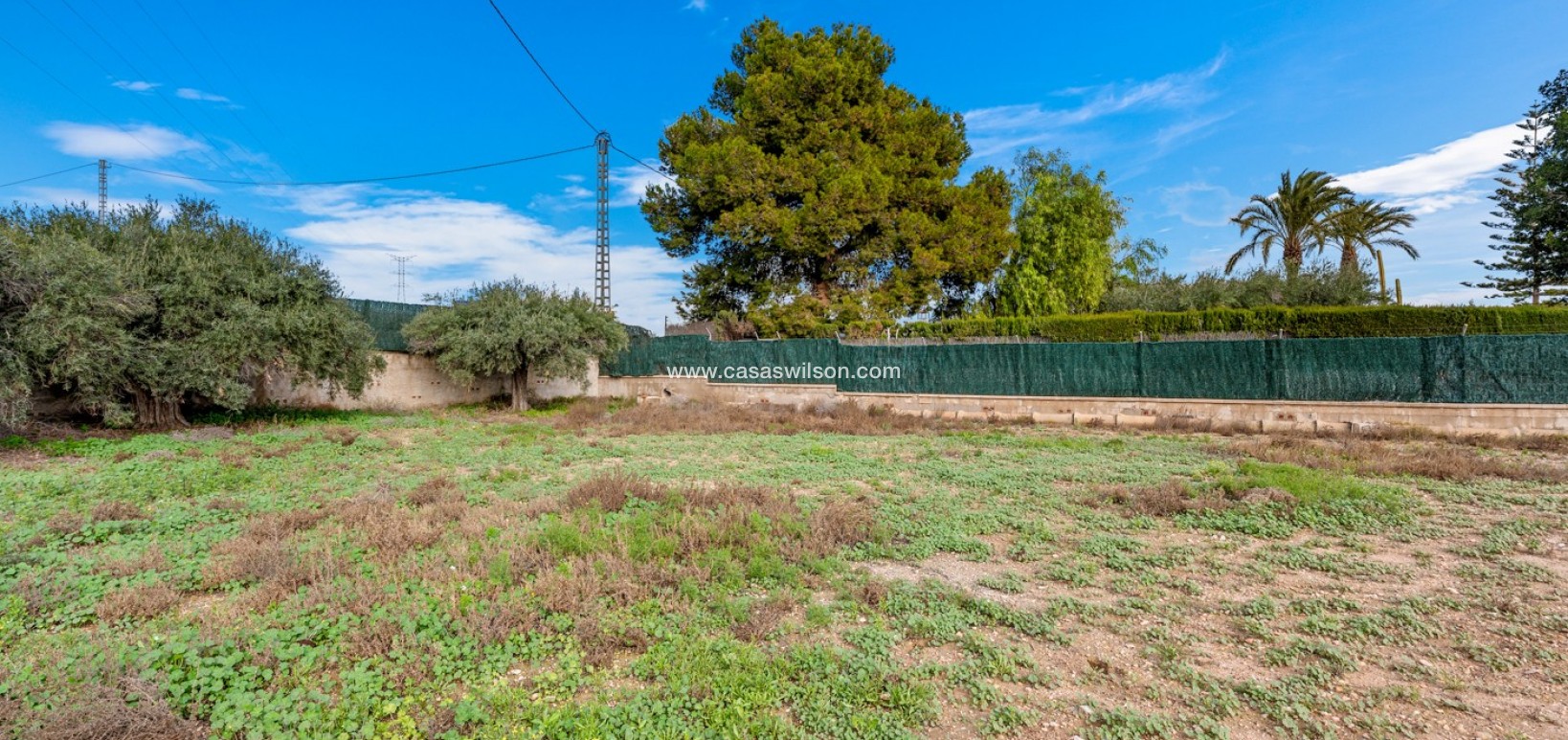 Sale - Villa - Elche - Elche/Elx