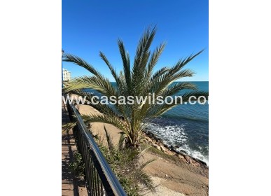 Sale - Apartment - Punta Prima - Costa Blanca