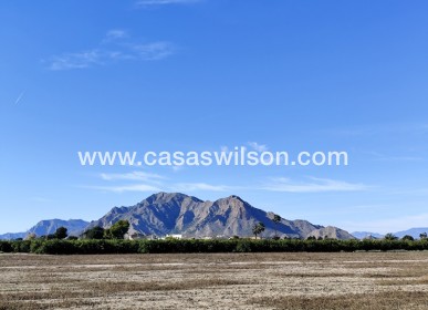 Venta - Chalet - El Mudamiento