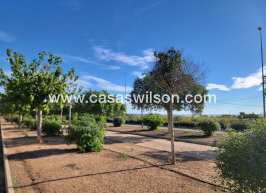 Sale - Townhouse - Los Montesinos - Los Montesinos - Urb. La Herrada