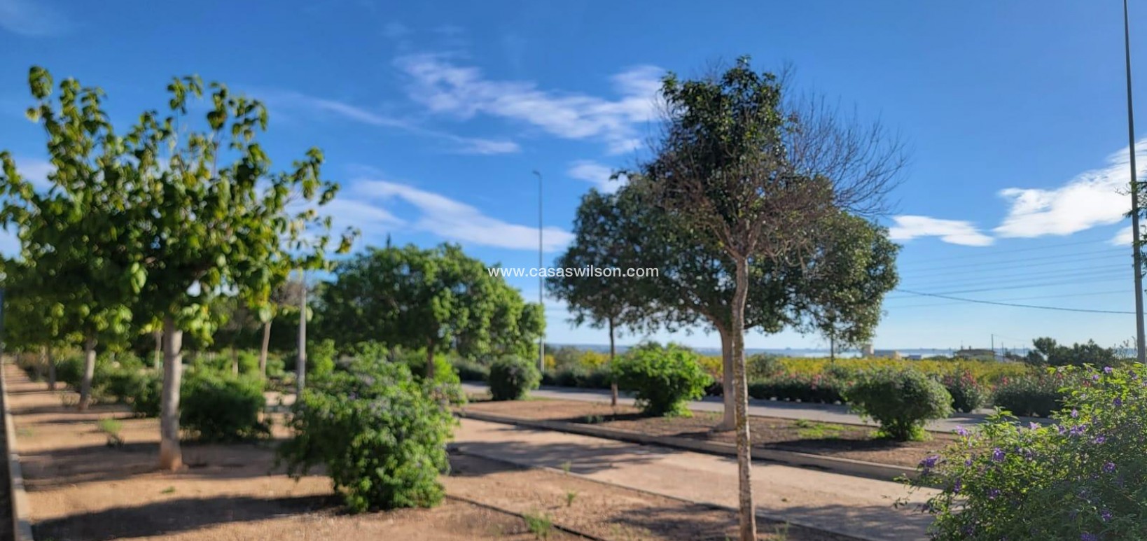 Sale - Townhouse - Los Montesinos - Los Montesinos - Urb. La Herrada