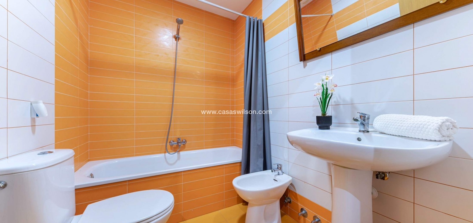 Sale - Apartment - Alicante - Carolinas Bajas