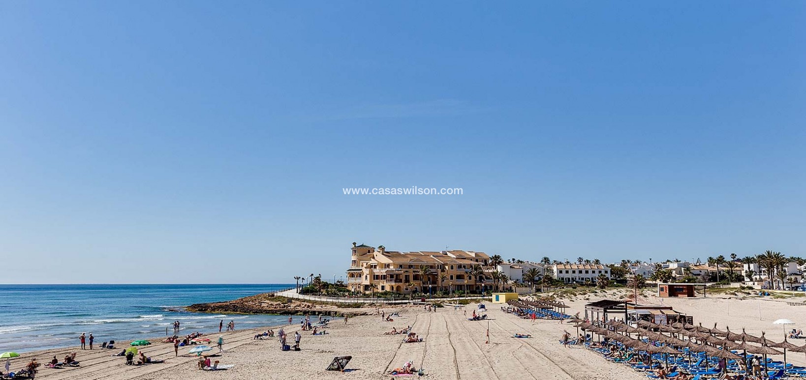 New Build - Villa - Orihuela Costa - La Zenia