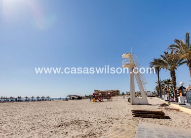 New Build - Villa - Orihuela Costa - La Zenia