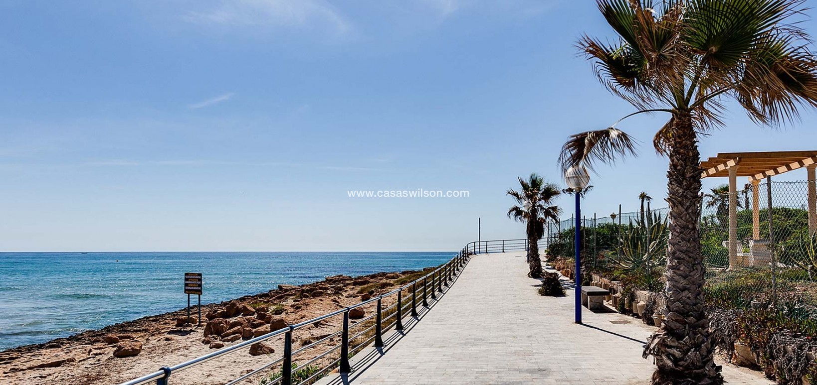 New Build - Villa - Orihuela Costa - La Zenia