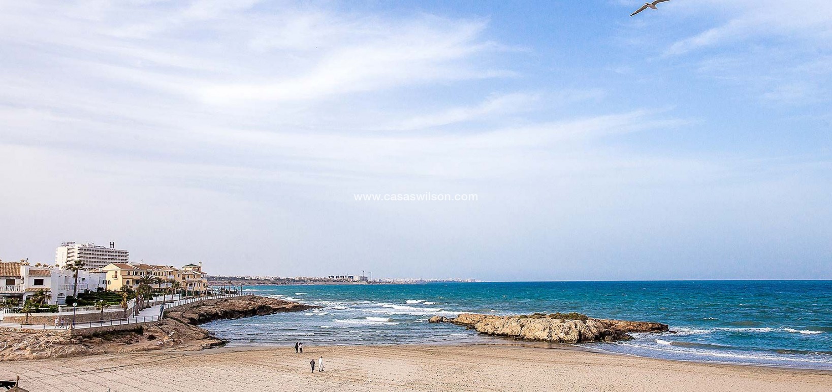 New Build - Villa - Orihuela Costa - La Zenia