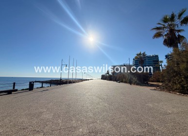 Venta - Apartamento - Punta Prima