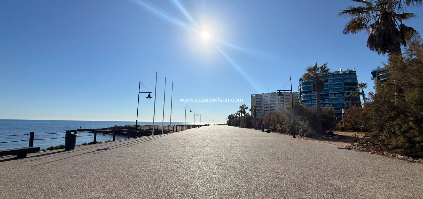 Venta - Apartamento - Punta Prima