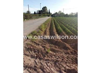 Sale - Country Property/Finca - Arneva - LOS DESAMPARADOS