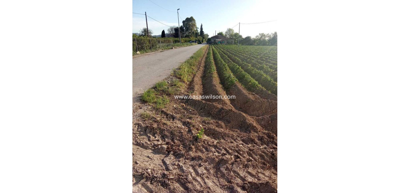 Sale - Country Property/Finca - Arneva - LOS DESAMPARADOS