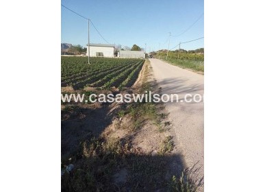 Sale - Country Property/Finca - Arneva - LOS DESAMPARADOS