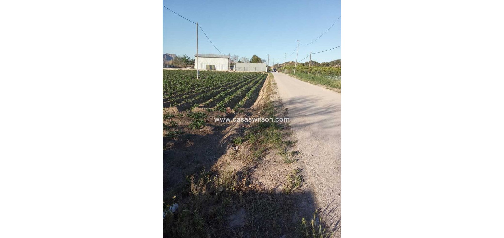 Sale - Country Property/Finca - Arneva - LOS DESAMPARADOS