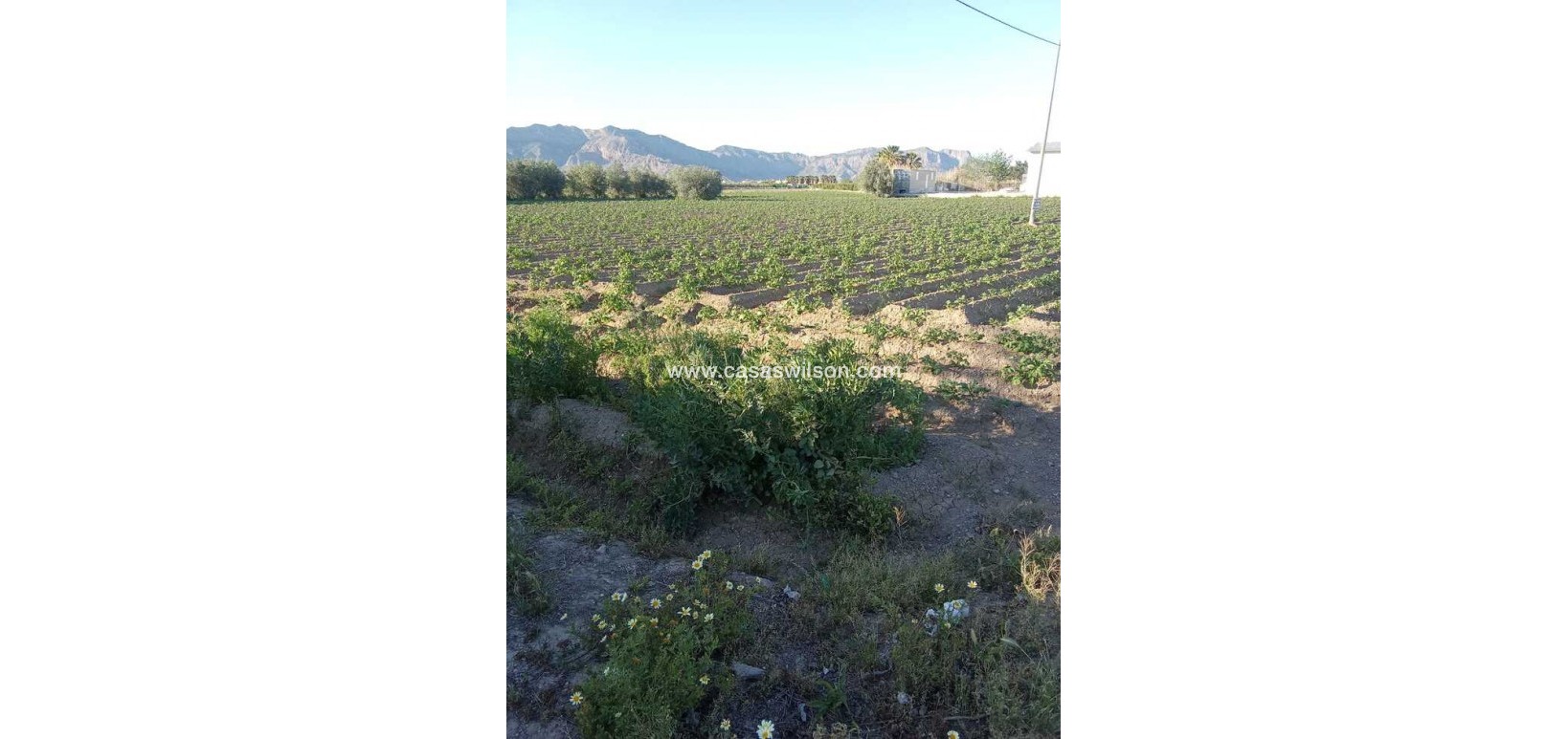 Sale - Country Property/Finca - Arneva - LOS DESAMPARADOS