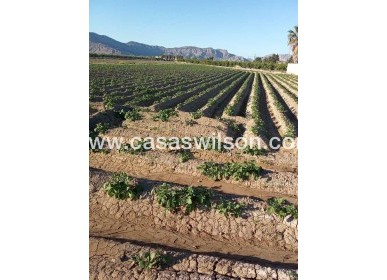 Sale - Country Property/Finca - Arneva - LOS DESAMPARADOS