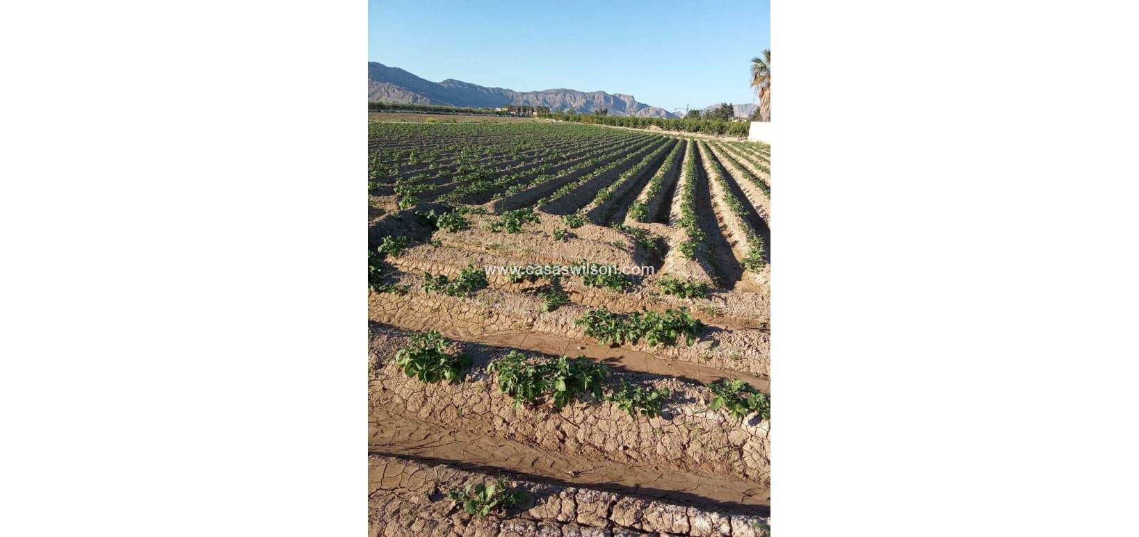 Sale - Country Property/Finca - Arneva - LOS DESAMPARADOS