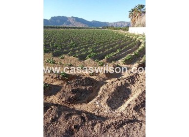Sale - Country Property/Finca - Arneva - LOS DESAMPARADOS
