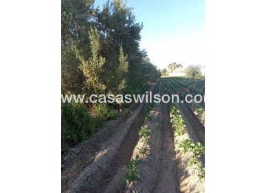 Sale - Country Property/Finca - Arneva - LOS DESAMPARADOS