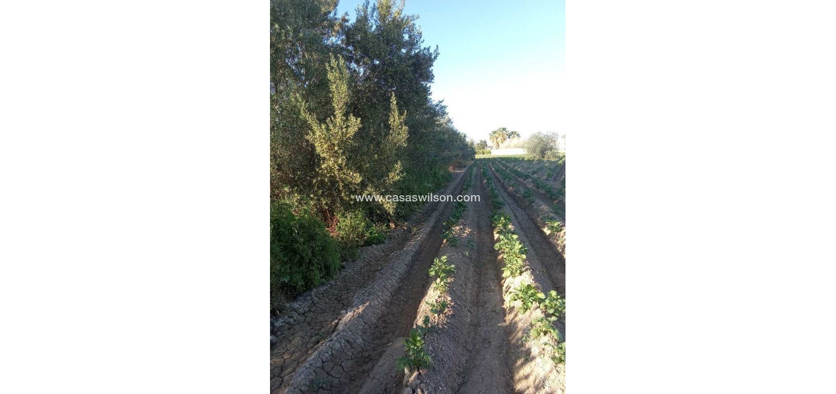 Sale - Country Property/Finca - Arneva - LOS DESAMPARADOS