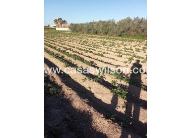 Sale - Country Property/Finca - Arneva - LOS DESAMPARADOS