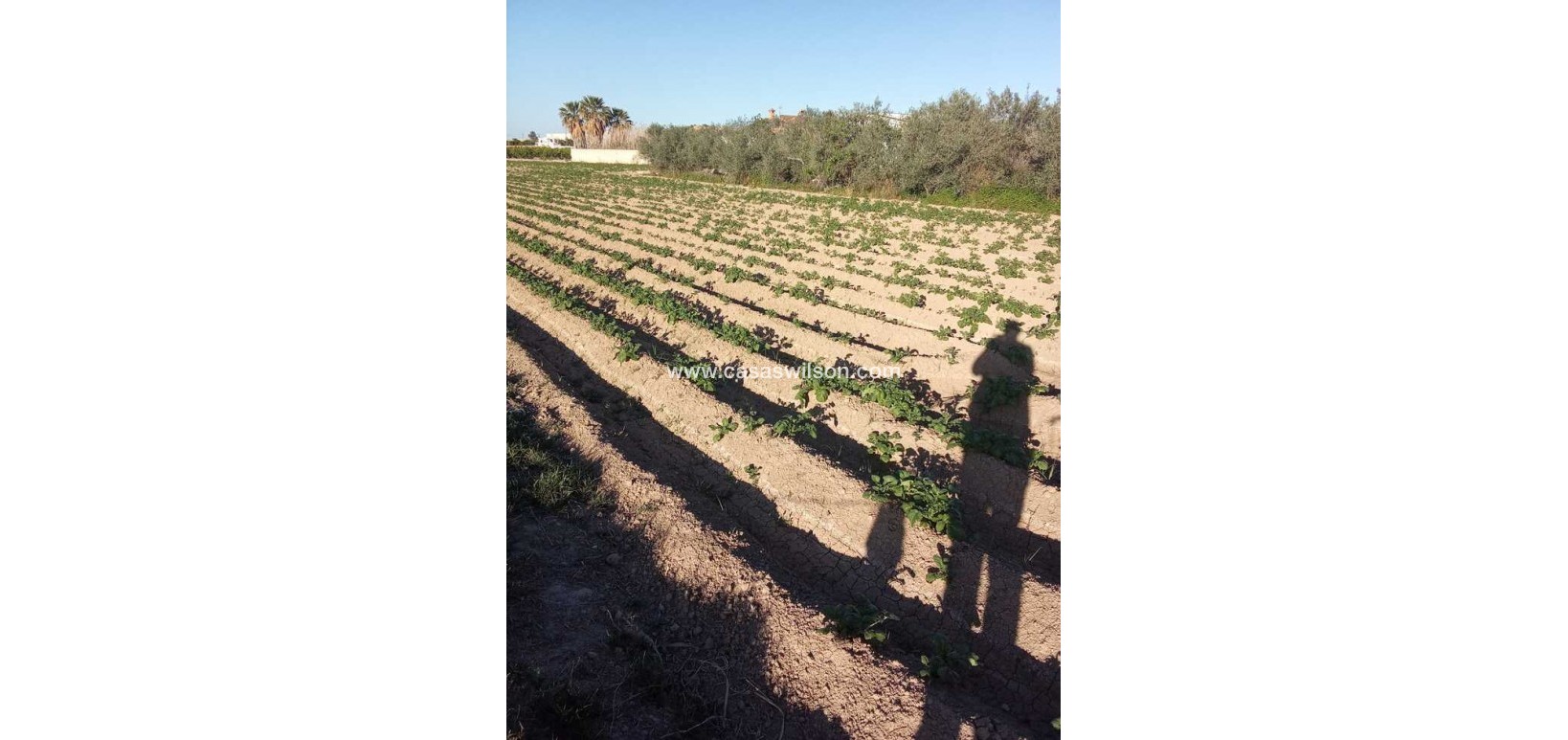 Sale - Country Property/Finca - Arneva - LOS DESAMPARADOS