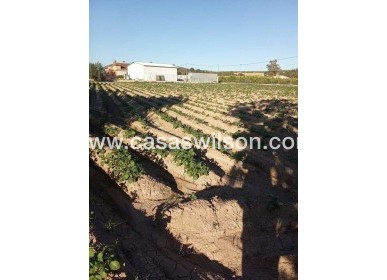 Sale - Country Property/Finca - Arneva - LOS DESAMPARADOS