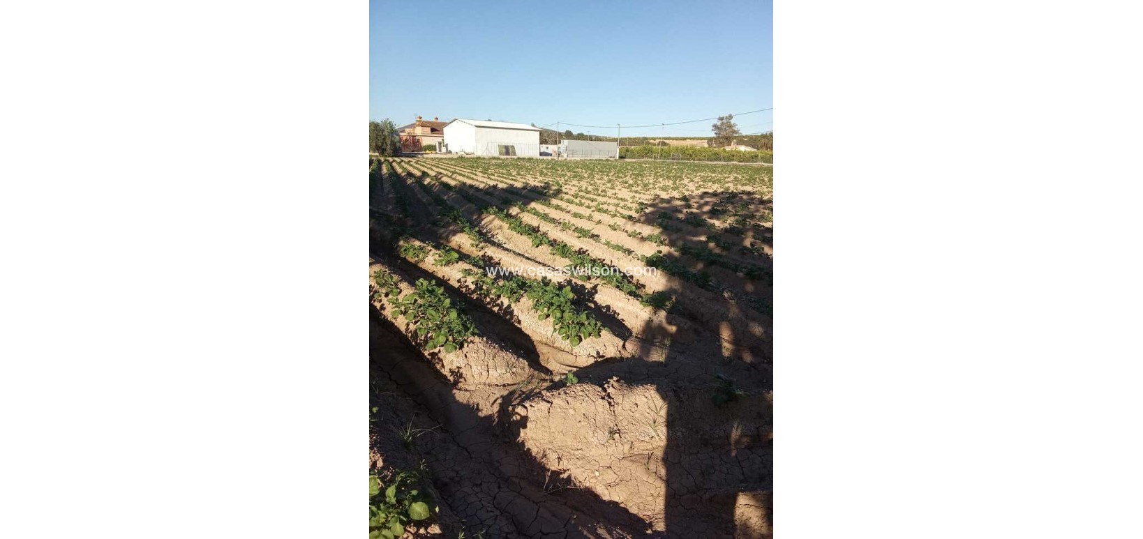 Sale - Country Property/Finca - Arneva - LOS DESAMPARADOS