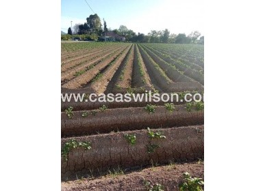 Sale - Country Property/Finca - Arneva - LOS DESAMPARADOS