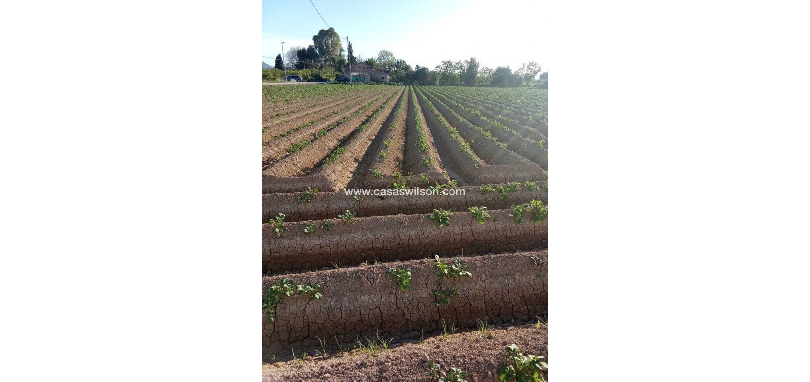 Sale - Country Property/Finca - Arneva - LOS DESAMPARADOS