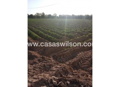 Sale - Country Property/Finca - Arneva - LOS DESAMPARADOS