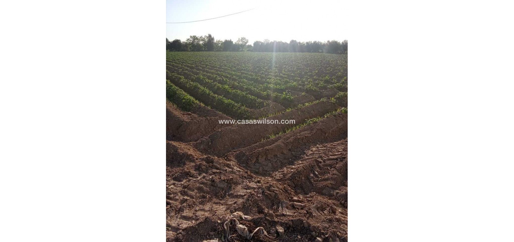 Sale - Country Property/Finca - Arneva - LOS DESAMPARADOS