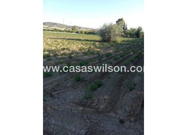 Sale - Country Property/Finca - Arneva - LOS DESAMPARADOS