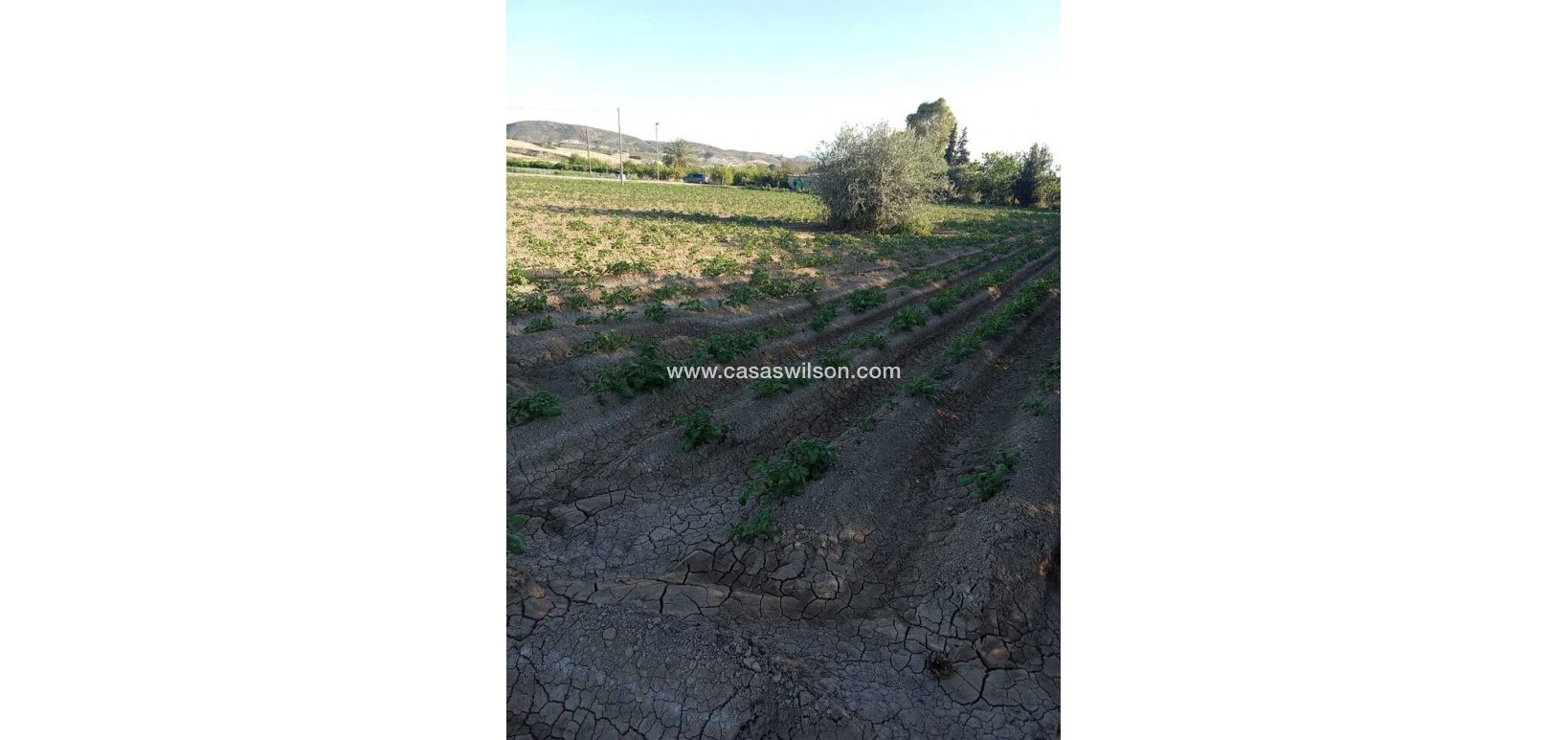 Sale - Country Property/Finca - Arneva - LOS DESAMPARADOS