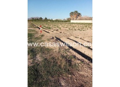 Sale - Country Property/Finca - Arneva - LOS DESAMPARADOS