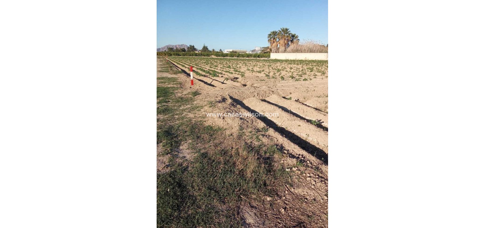 Sale - Country Property/Finca - Arneva - LOS DESAMPARADOS