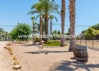 Venta - Finca - Catral