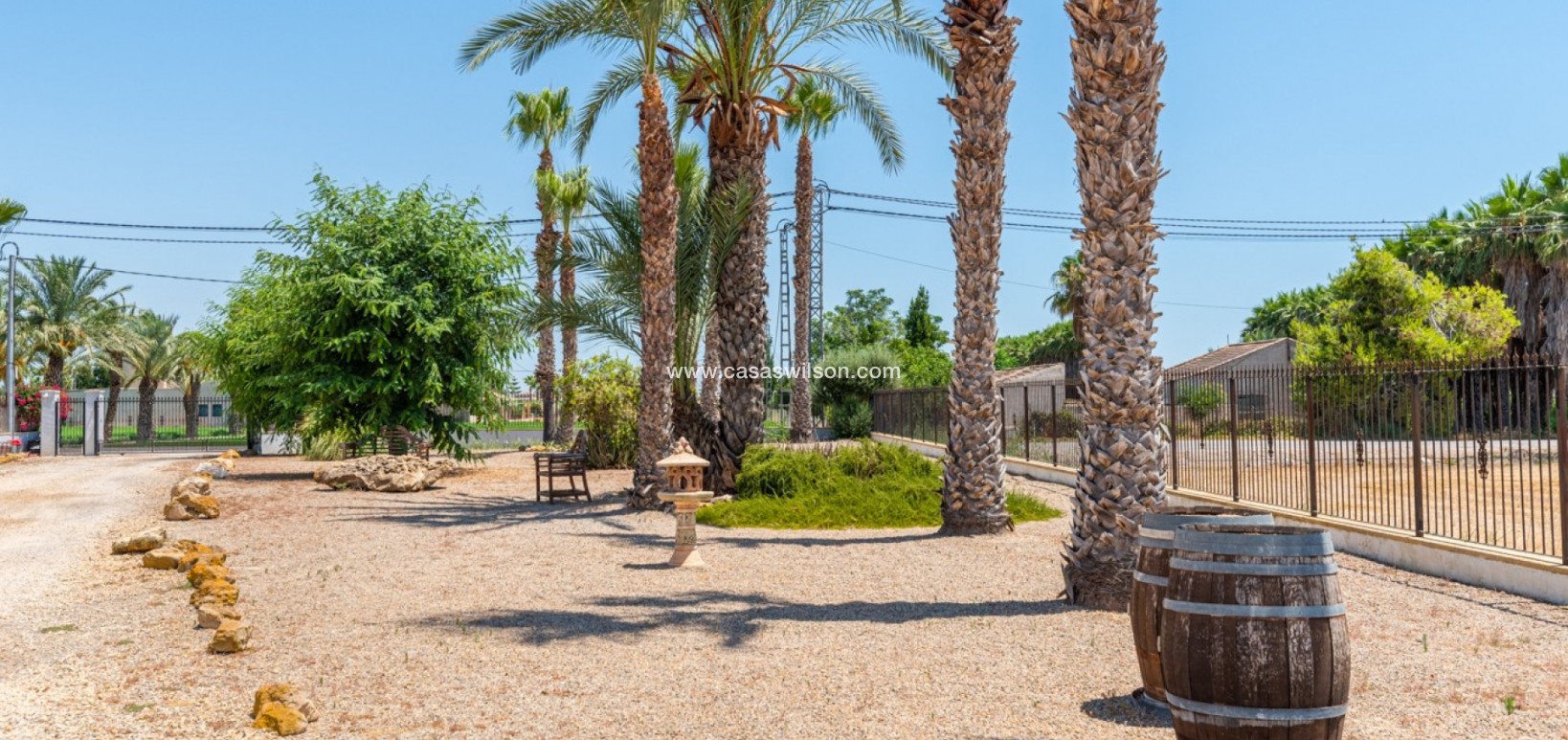 Venta - Finca - Catral