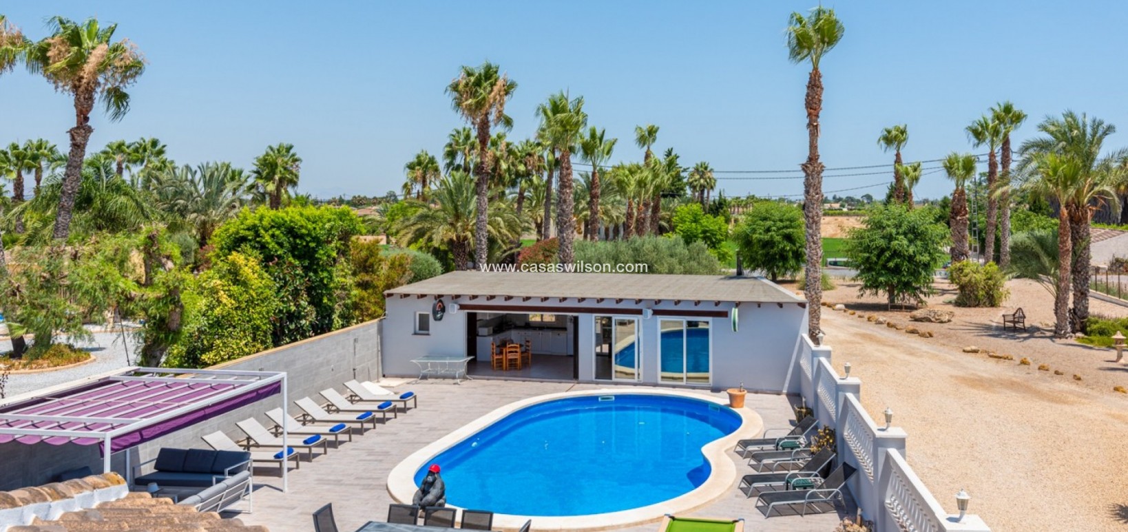 Venta - Finca - Catral