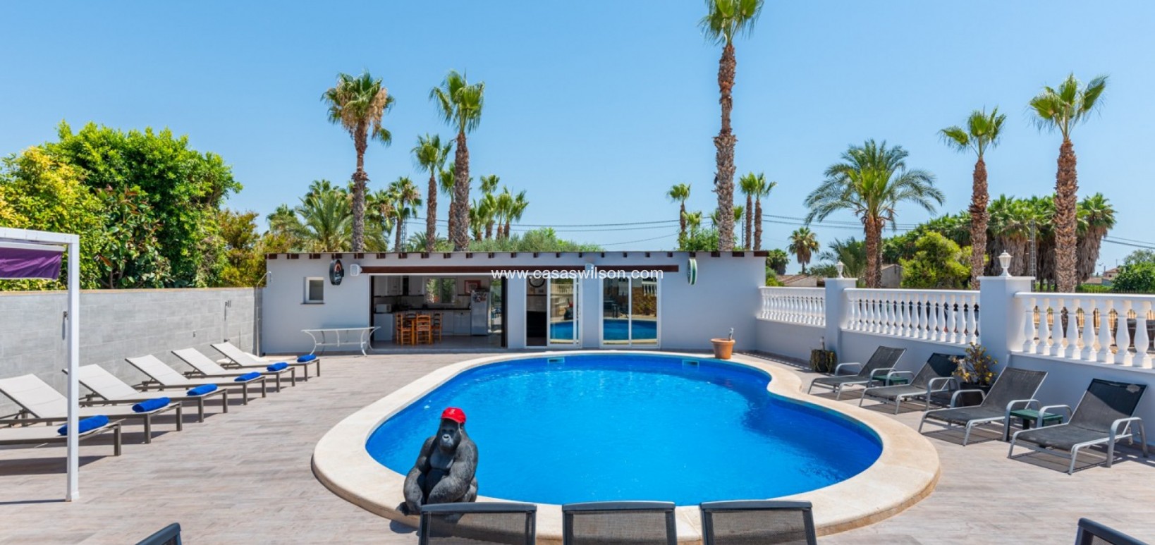 Venta - Finca - Catral