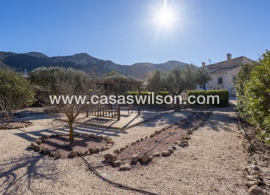 Sale - Country Property/Finca - La Zarza