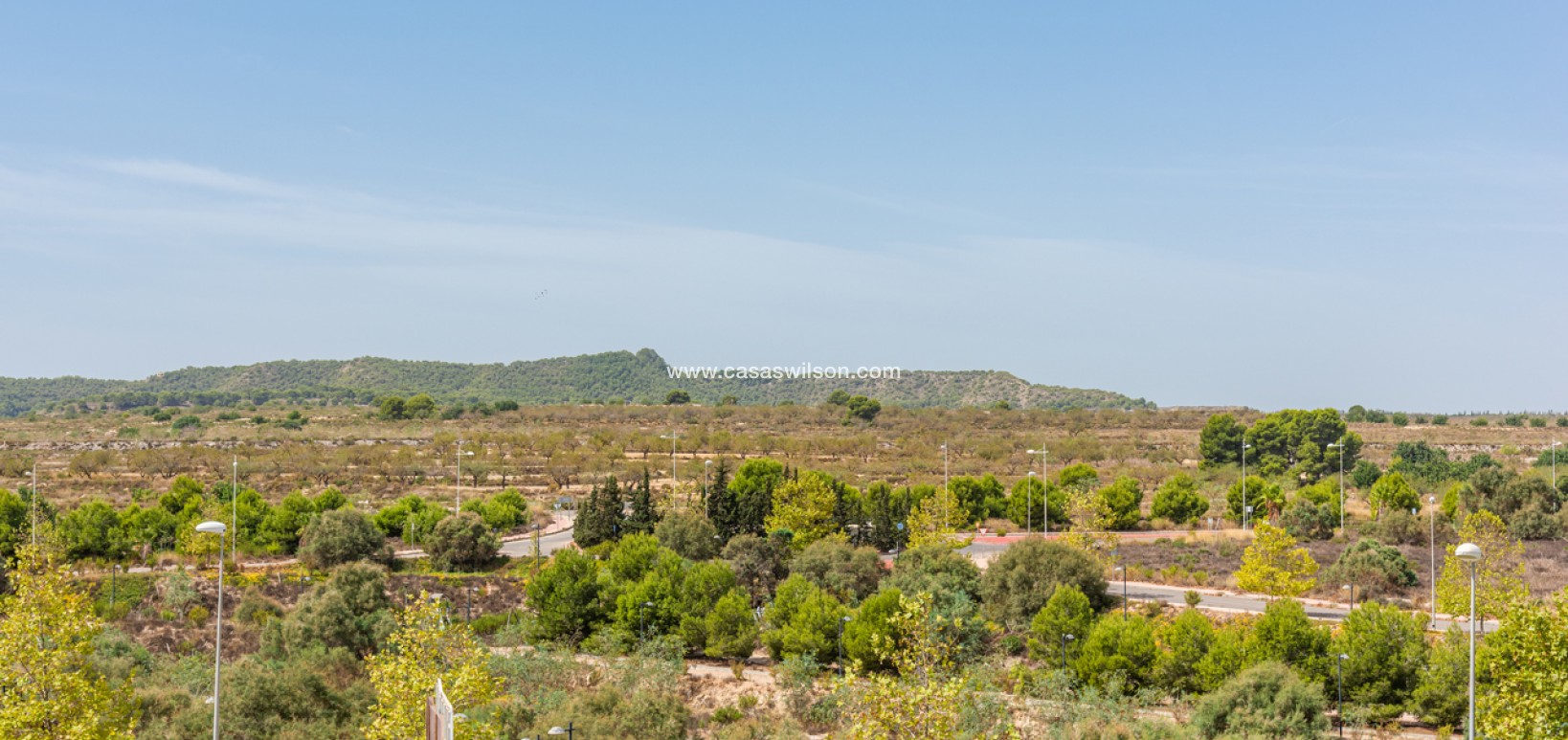 Sale - Apartment - San Miguel de Salinas - Inland