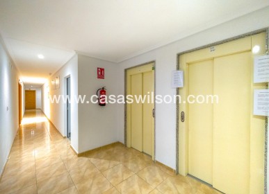 Sale - Apartment - Torrevieja - Acequion