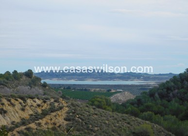 Venta - Finca - Torremendo